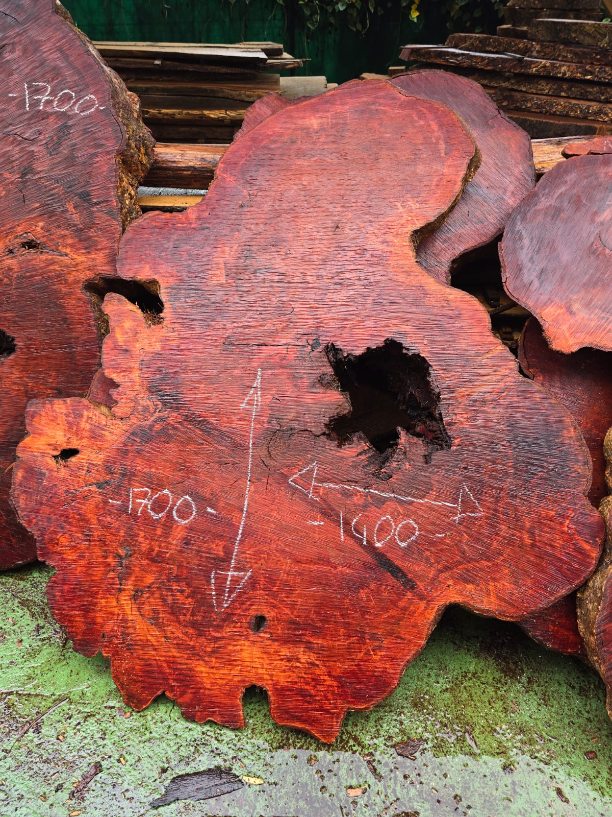 Litchi centenaire, Guadeloupe Litchi centenaire, Guadeloupe