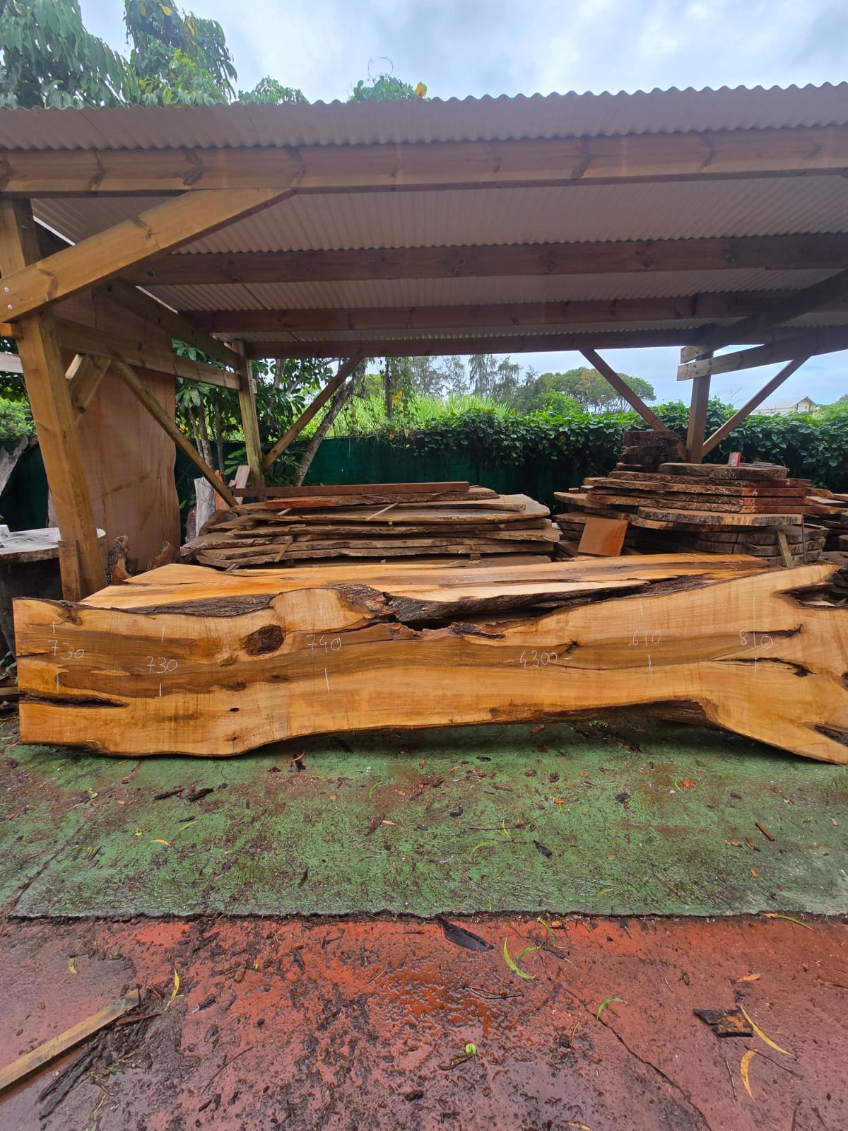 Poirier, Guadeloupe Poirier, Guadeloupe