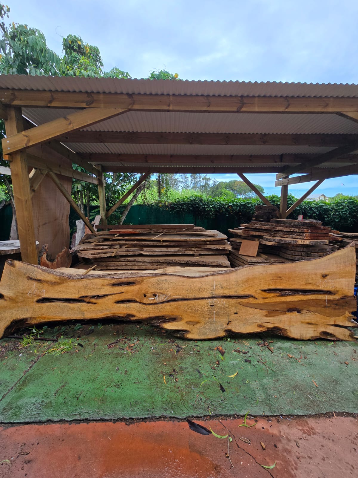 Poirier, Guadeloupe Poirier, Guadeloupe