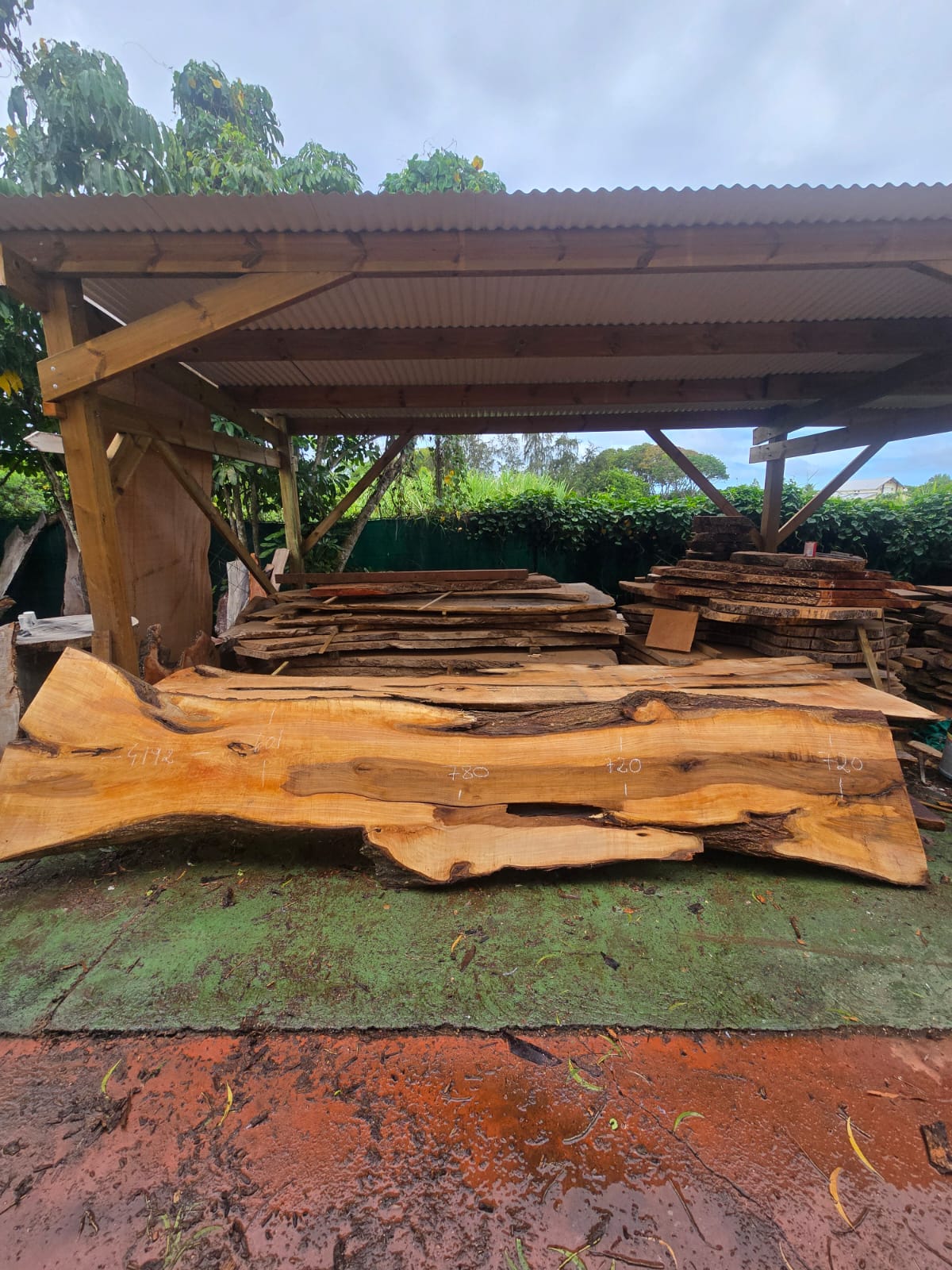 Poirier, Guadeloupe Poirier, Guadeloupe