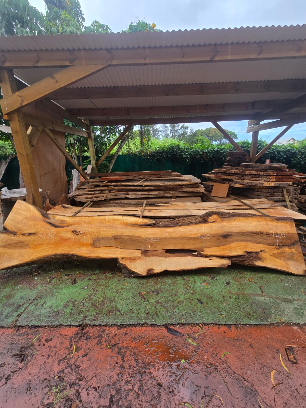 Poirier, Guadeloupe Poirier, Guadeloupe