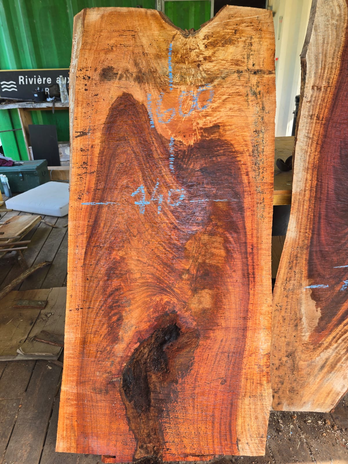 Courbaril- Guadeloupe Courbaril- Guadeloupe