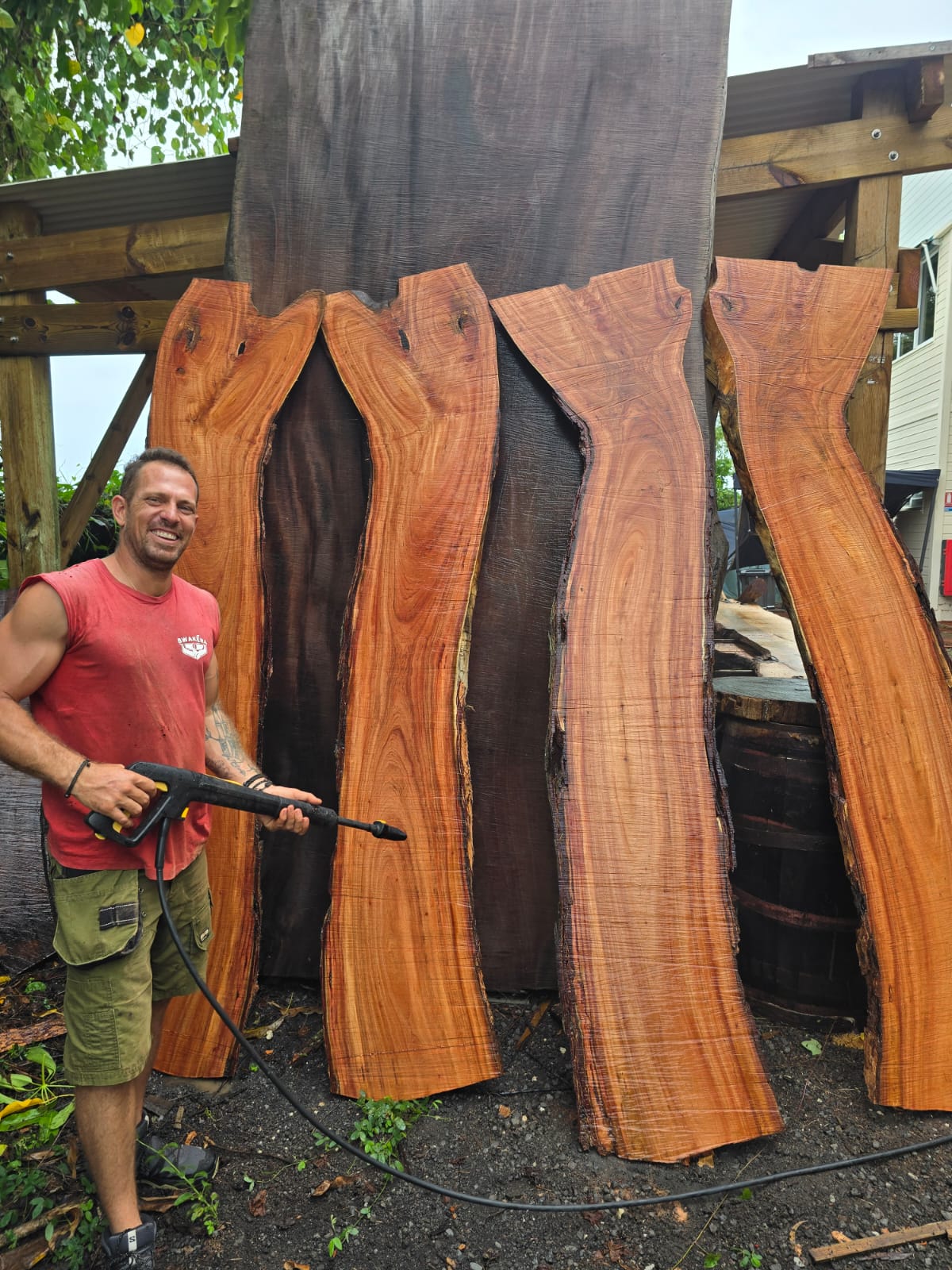 Neem, Guadeloupe Neem, Guadeloupe