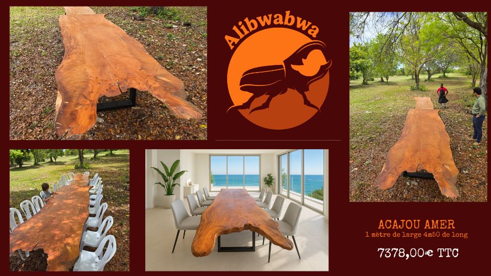 Acajou Amer Acajou Amer